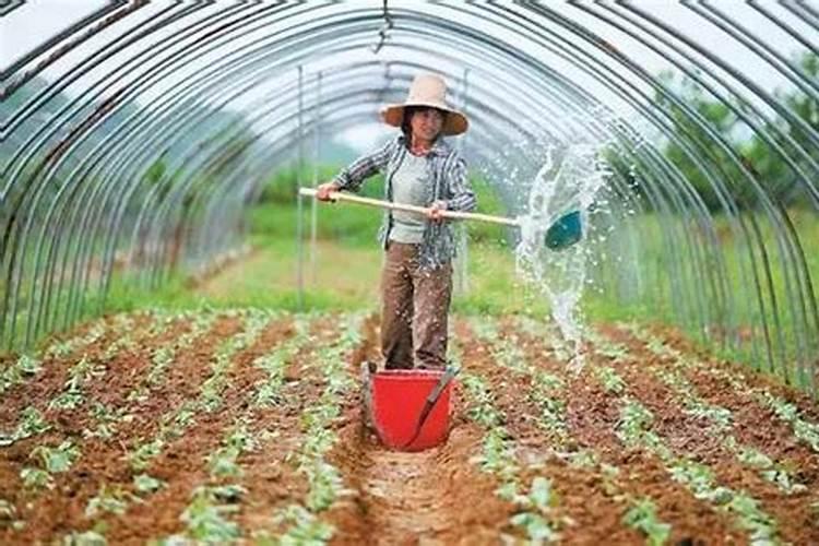 自制水溶肥配比表,水溶肥如何使用
