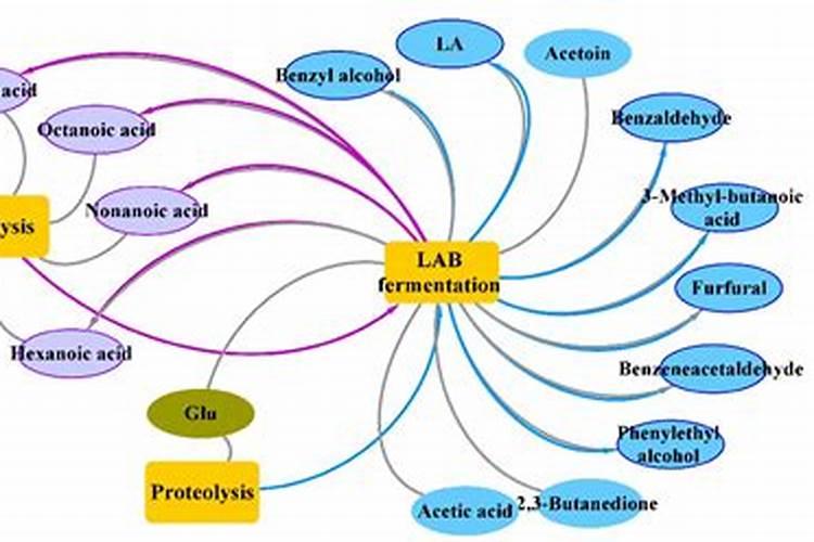 想要防治马铃薯蛴螬虫害,都要采取哪些措施呢？