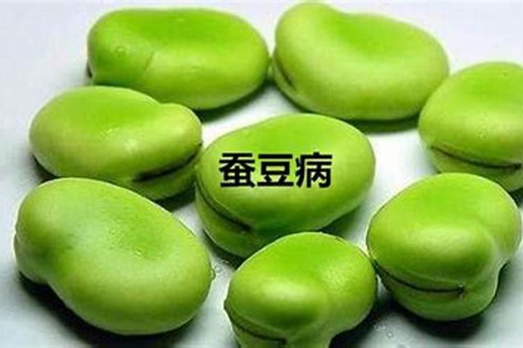 种胡豆的正确方法