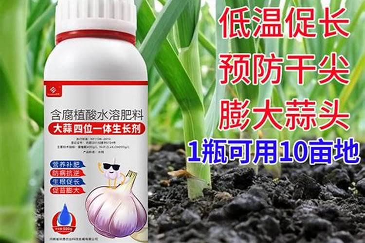 西冷和菲力的区别