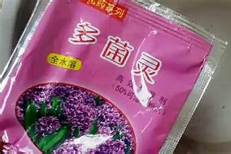 芸苔素和多菌灵能混用吗？