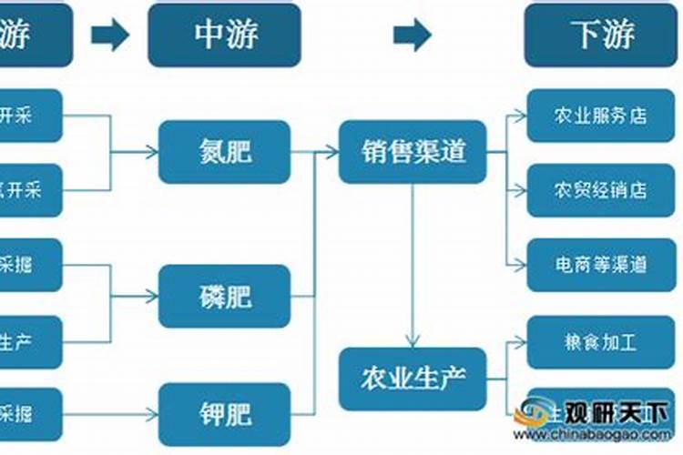 干椒20多天后应怎样管理,在施肥和打药方面
