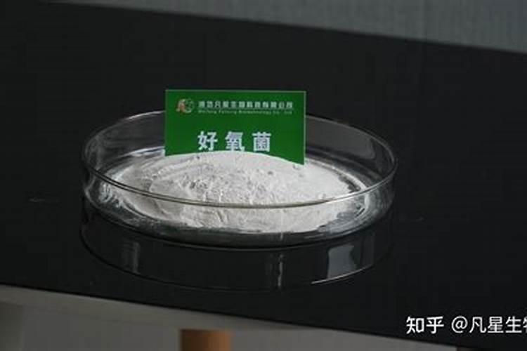 常用的污水处理工艺都有几种