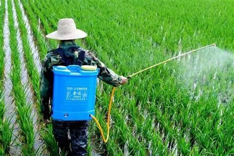 富粒美穗叶面肥对完水放一天一夜还能用吗？
