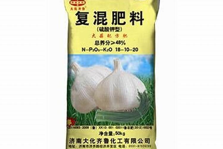 种独头蒜的方法