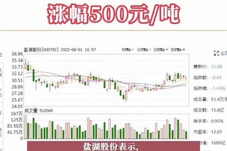 中国钾肥前十名上市公司
