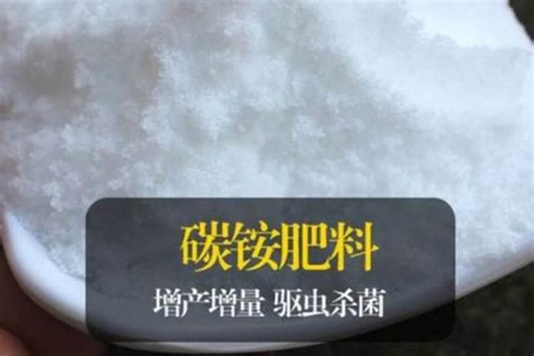 常见的氮肥有什么