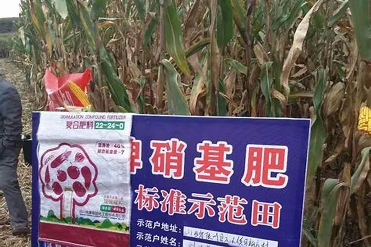 硝基复合肥特点