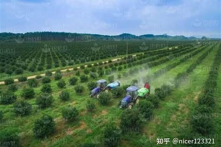钾斑磷农药撒到地里会被庄稼吸收吗