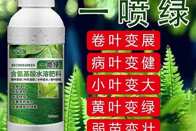 养花的营养液怎么用