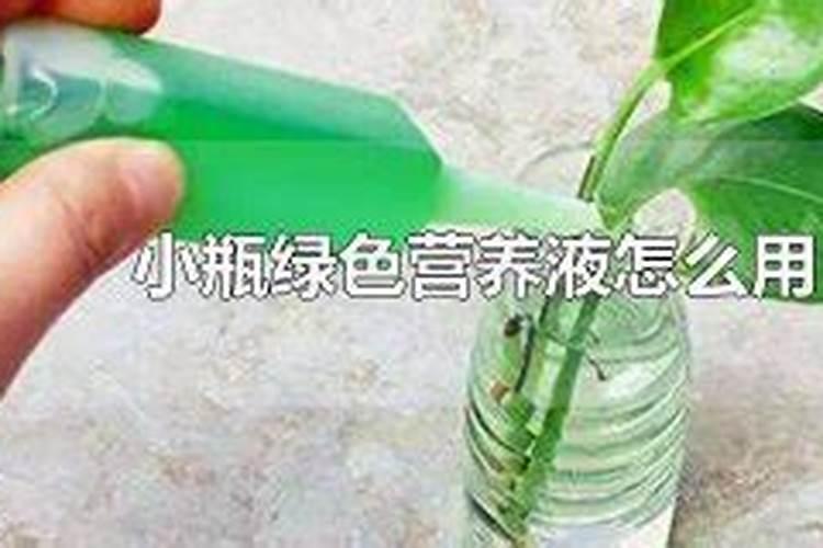 植物营养液的正确使用方法