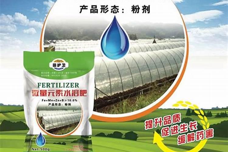 7种经常买到假的肥料是啥,怎样防止陷入购买误区？