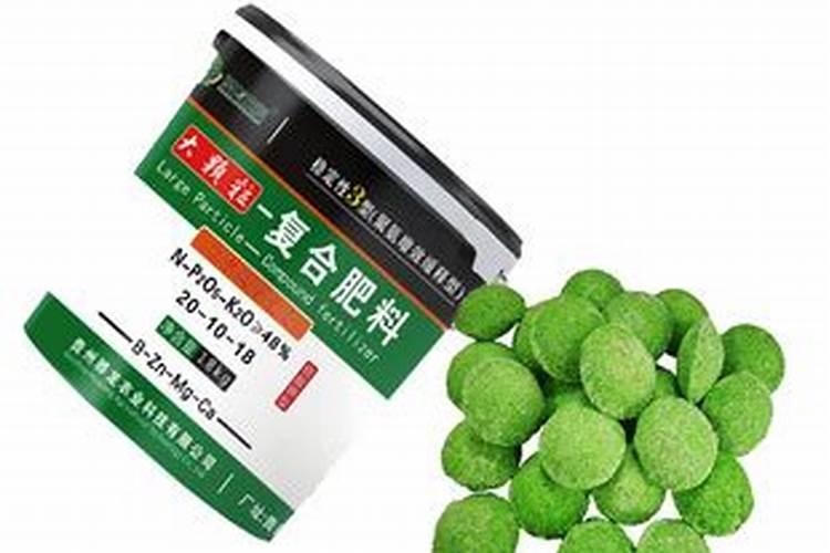 桉树用什么肥料最合适