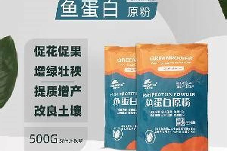 鱼蛋白水溶肥制作方法