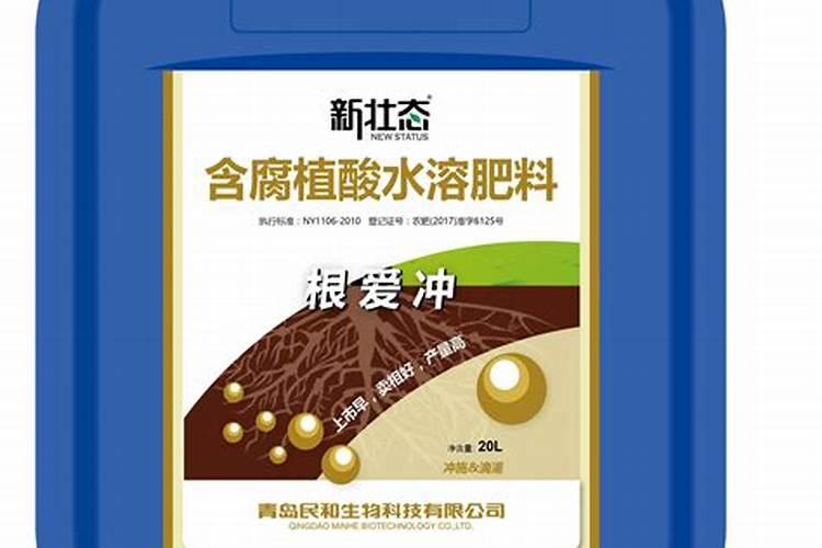 哪些食物含有矿物质