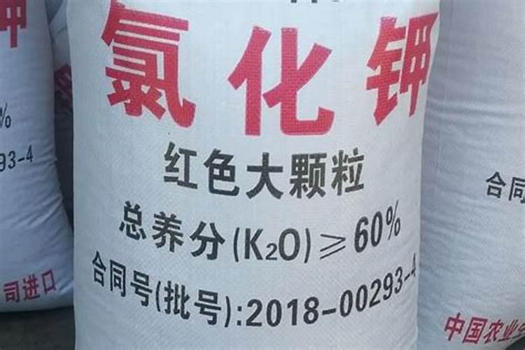 玉米喜欢氯化钾还是硫酸钾