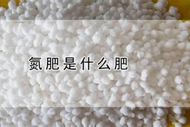 自制氮肥有哪些,用什么可以自制氮肥呢