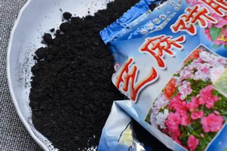 芝麻饼肥料适合什么花