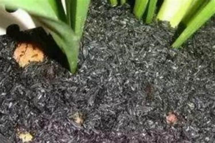 草木灰是什么肥料