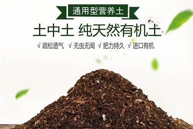 氮肥和磷肥还有钾肥,哪一种肥料对植物的生长好处最大呢