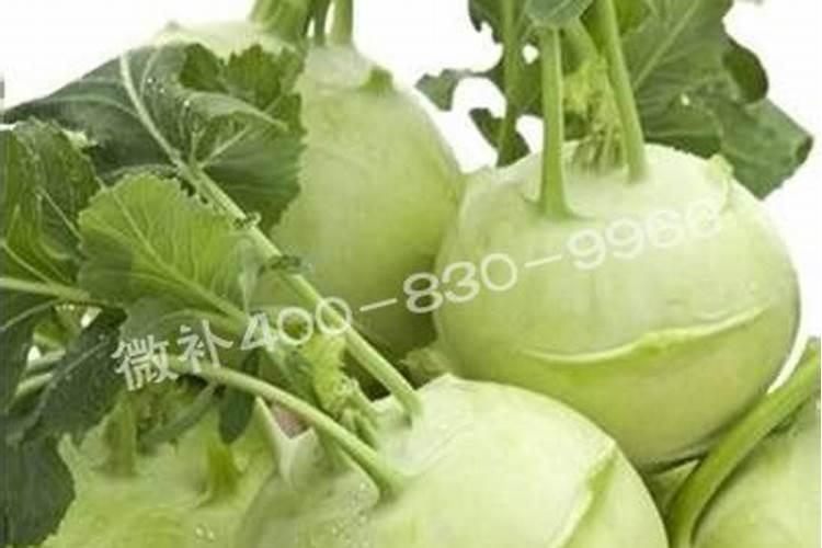 吃什么食物补钾 吃哪些食物可以补钾