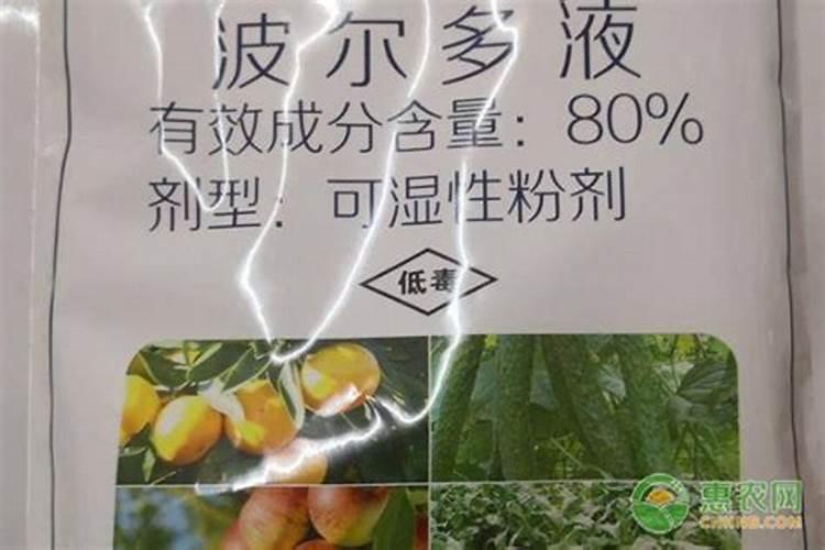 摸摸香怎么养才能更旺盛