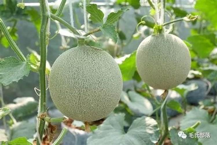 专家朋友们给看一下