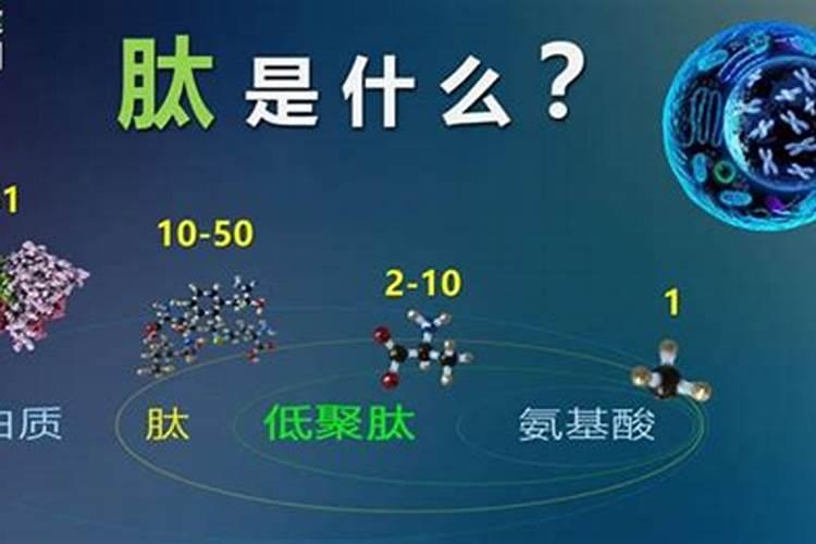 什么是氨基酸水溶肥？氨基酸水溶肥的功能作用有哪些
