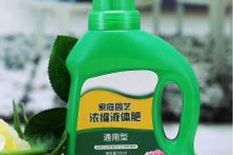 浓缩营养液可以当叶面肥浇花吗
