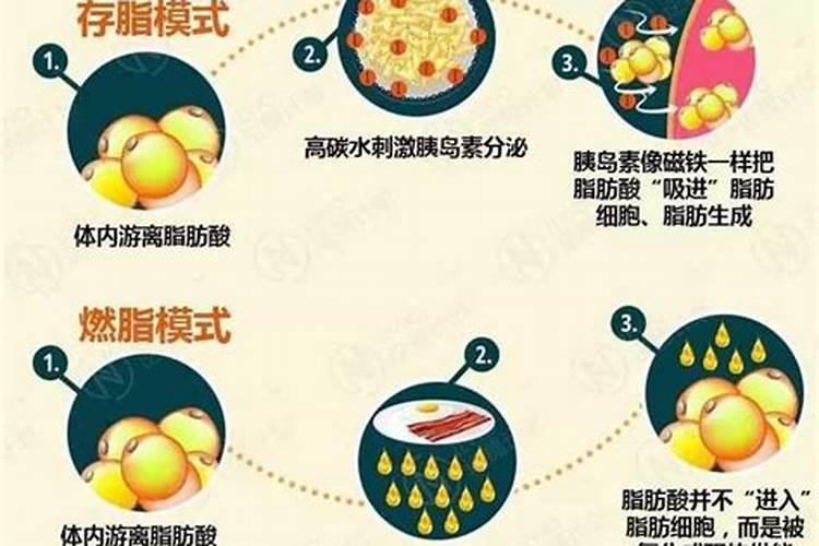 复合肥和大量元素水溶肥的区别