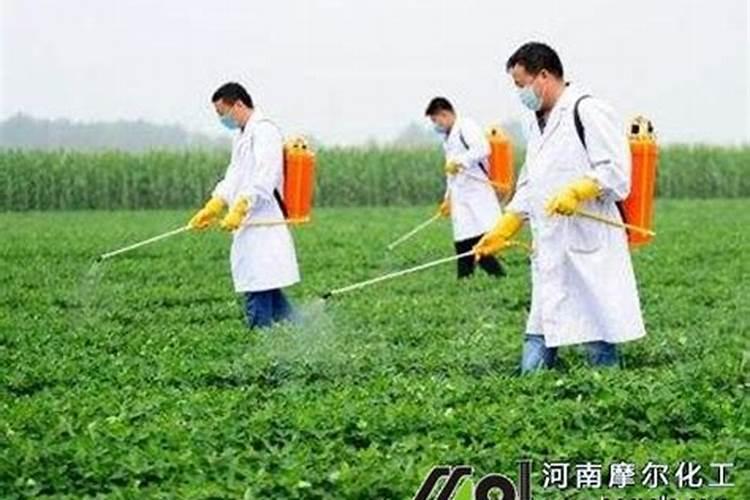 排名前十的水溶肥品牌