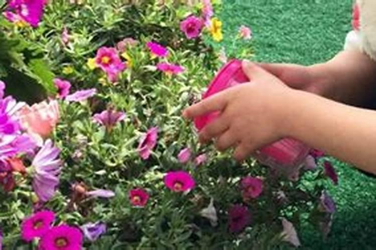 葡萄酒废料可以用来做什么？