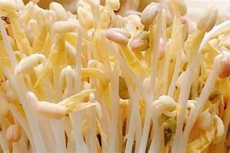 种绿豆用什么肥料好