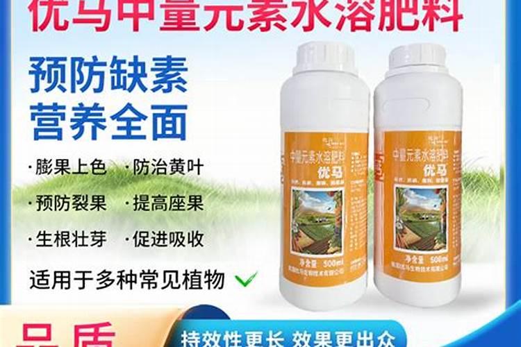 柑橘什么时候补钙