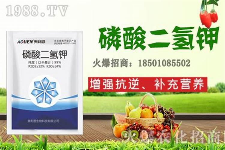磷酸二氢钾和芸苔素混合用对桃子有啥好处。
