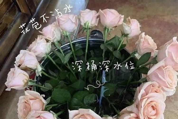 夏天鲜花养护要点