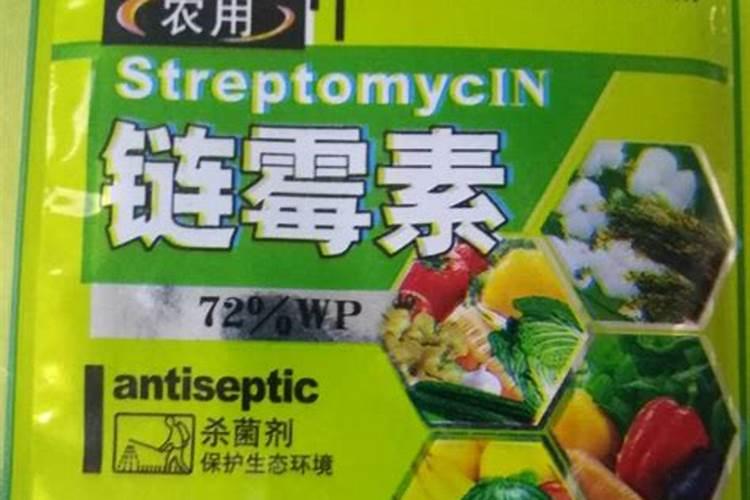 洋姜施肥用什么肥料
