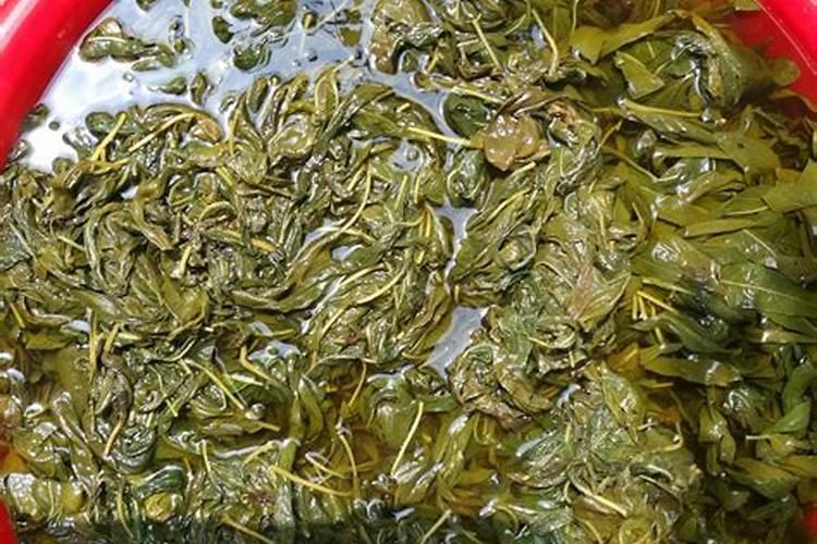 【茴香菜】的功效与作用