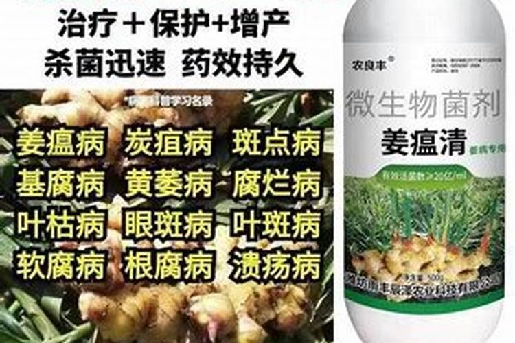 生姜黄叶病打什么农药
