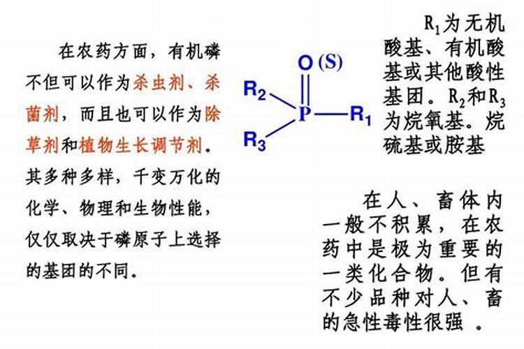 有机质磷肥的标准是什么