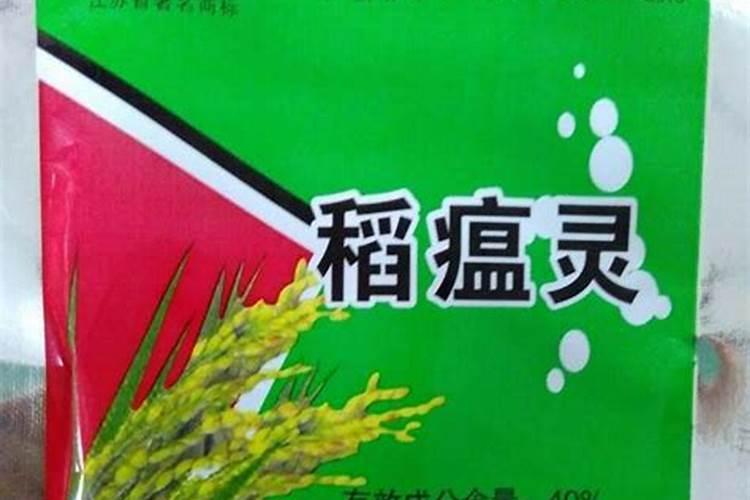 水稻稻瘟病用什么药？有哪些药剂推荐？