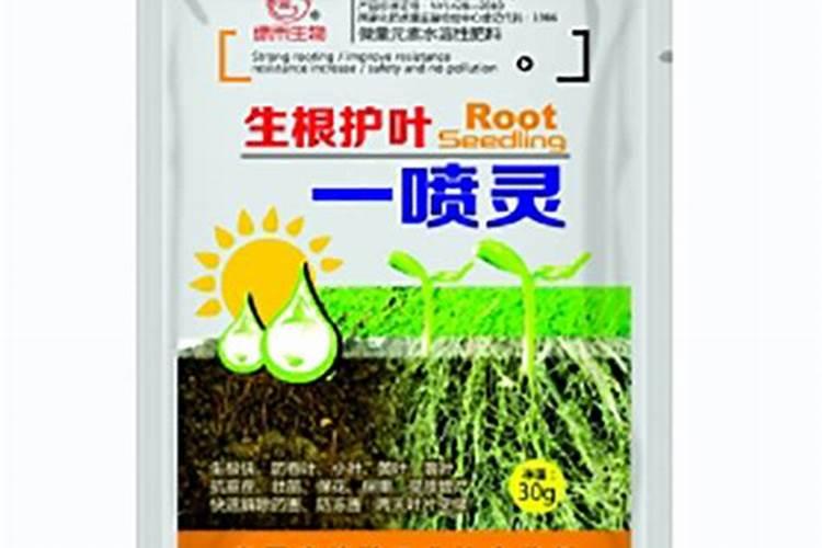 新移栽的苗木,生根剂多久用一次