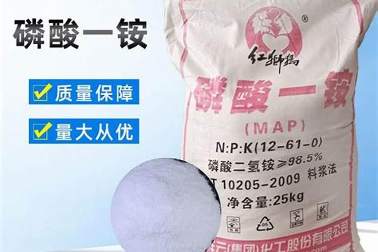 棉花种植注意事项是什么