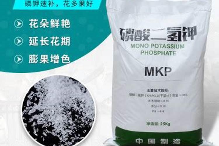 叶面肥价格一般是多少 如何选购好用的叶面肥料