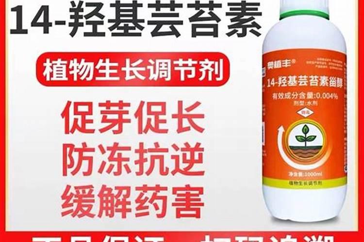 芸苔素可以解药害吗