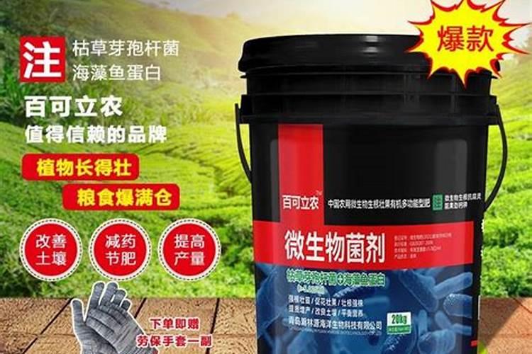百可得加什么是治灰霉病的