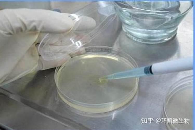 植物组培培养基配方