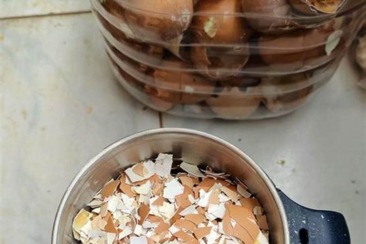 磷矿粉和钙镁磷肥是一个东西吗