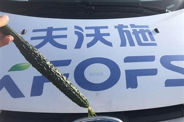 黄瓜打什么叶面肥黑绿