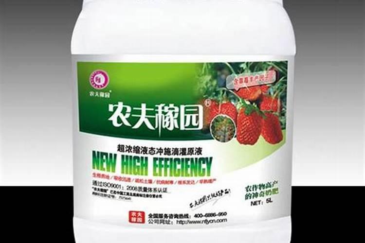 最好的草莓专用冲施肥有哪些